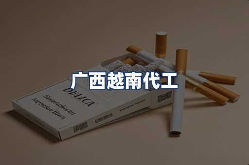 广西越南代工
